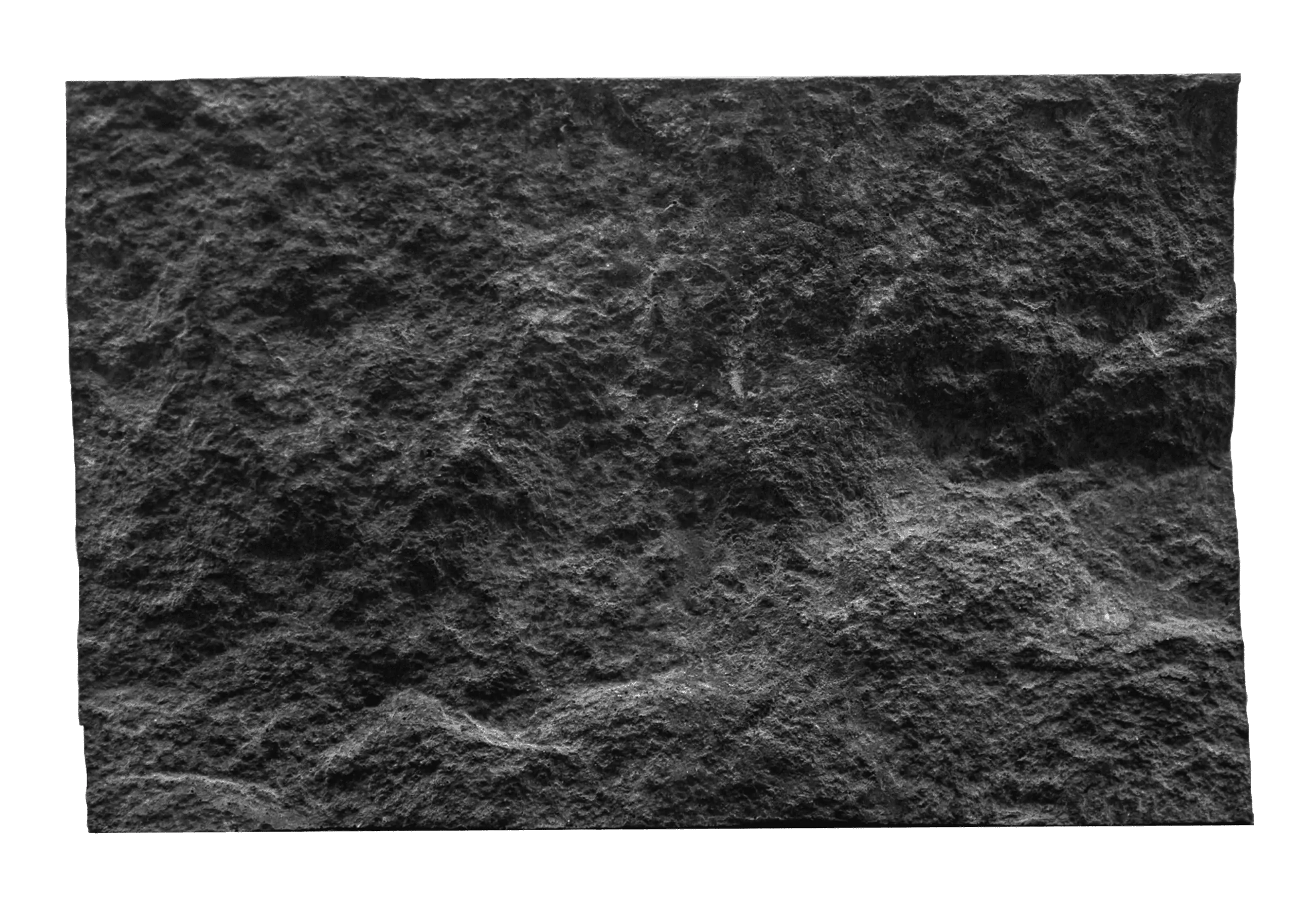 1771229488-MicrosoftTeams-image (56) (1).webp